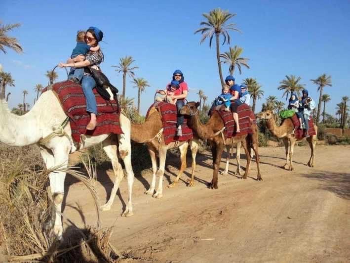 بيت للعطل Tres Beau A Marrakech Avec Piscines مراكش